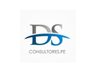 Logo DS CONSULTORES.PE